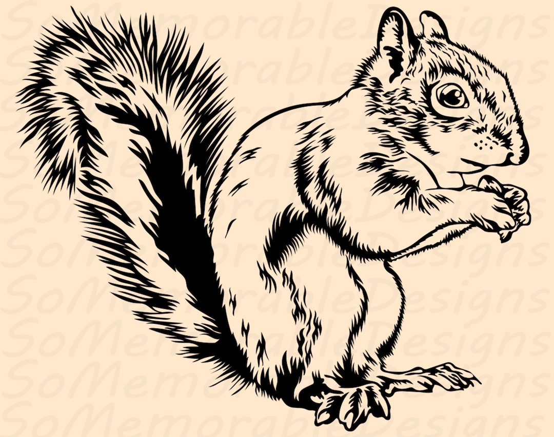 Squirrel Svg, Squirrel Svg File for Cricut, Squirrel Printable Tshirt