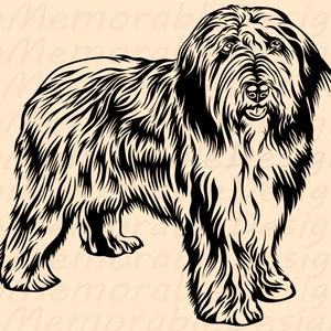 Old English Sheepdog Dog SVG File Cricut Download Dog Face 