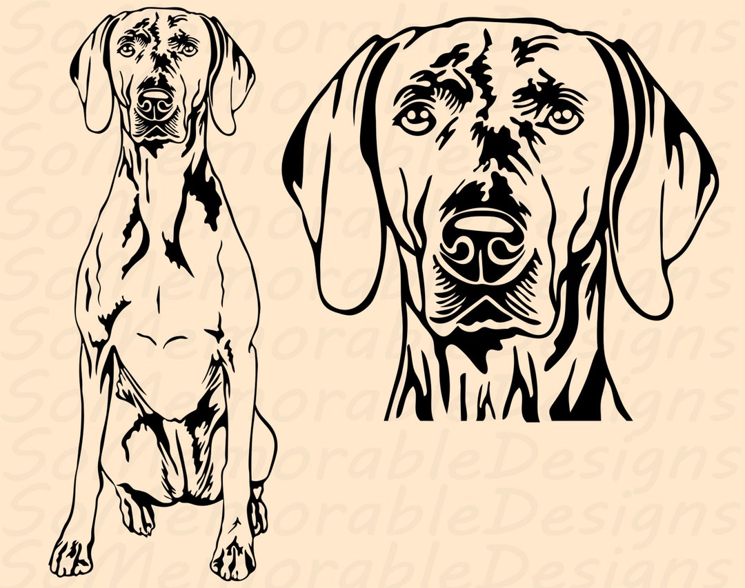 Weimaraner Svg, Weimaraner Svg File for Cricut, Weimaraner Printable ...