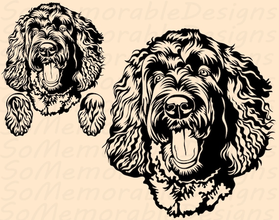Labradoodle items 2025