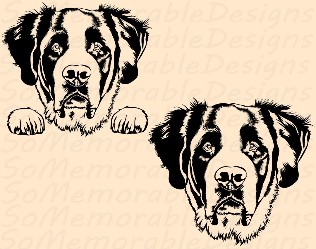 Saint Bernard Svg, Saint Bernard Svg File for Cricut, Saint Bernard Printable Tshirt Design - Etsy