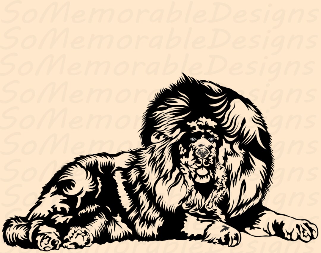 Tibetan Mastiff Svg, Tibetan Mastiff Svg Design, Tibetan Mastiff Cut ...