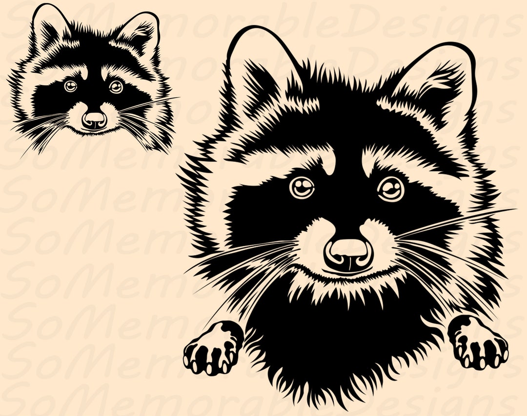 Raccoon Svg, Raccoon Svg File for Cricut, Raccoon Printable Tshirt
