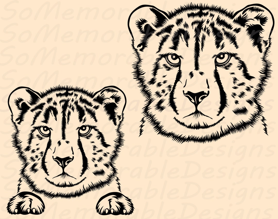 Cheetah Svg, Cheetah Svg Files, Cheetah Svg Design, Cheetah Cut File ...