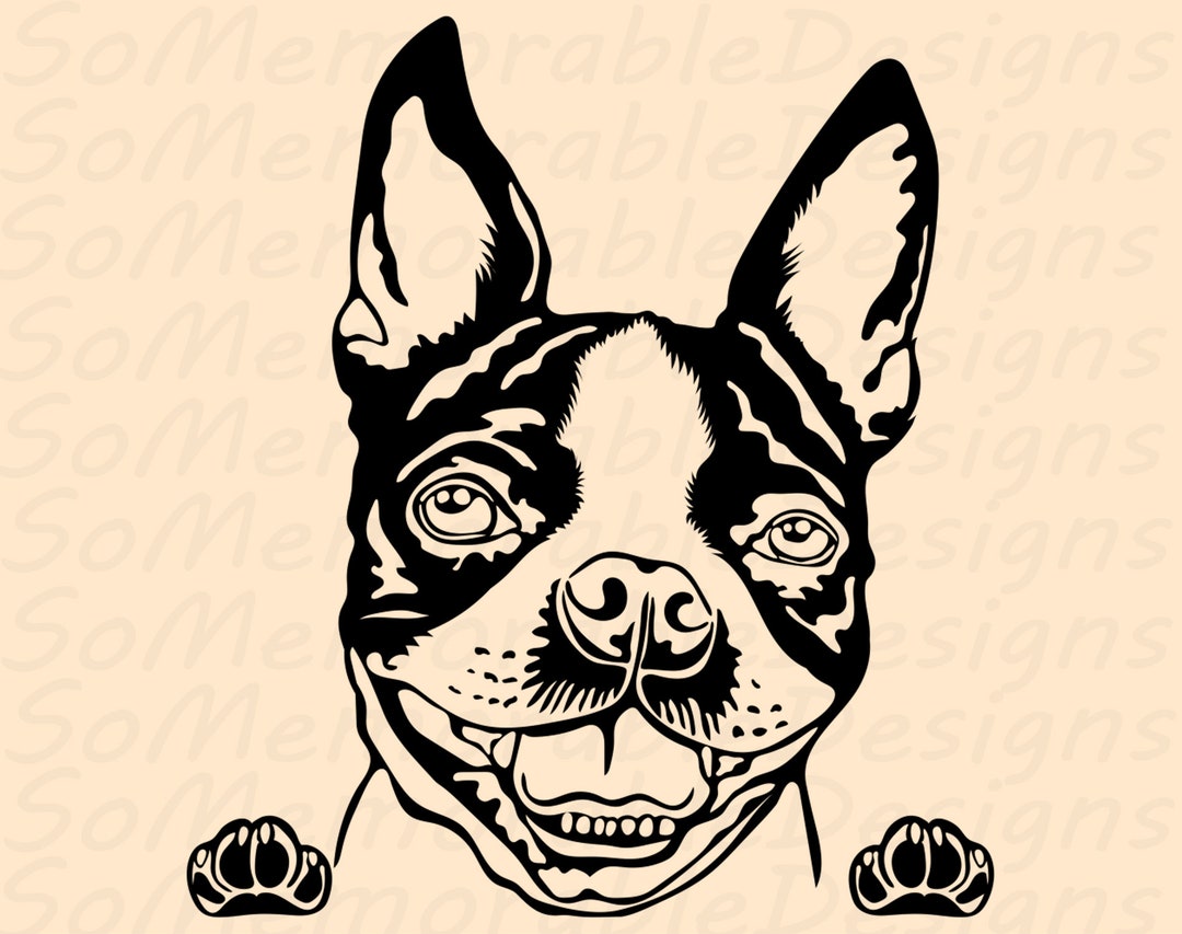 Boston Terrier Svg, Boston Terrier Svg File for Cricut, Boston Terrier ...
