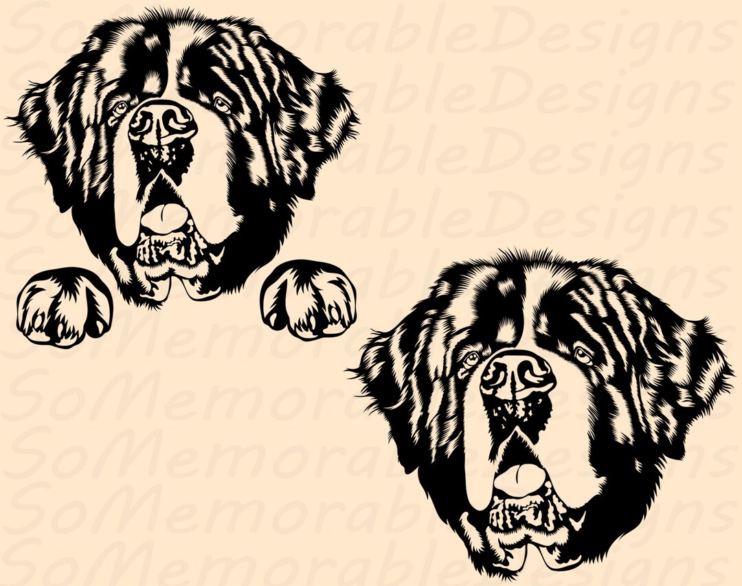 Saint Bernard Svg, Saint Bernard Svg File for Cricut, Saint Bernard Printable Tshirt Design - Etsy