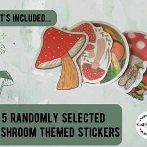Mushroom Lover Gift For Him - Fungi Gift Ideas - Crew Socks, Charm Bracelet, Mushroom Necklace - Boyfriend Letterbox Gift Set image 6