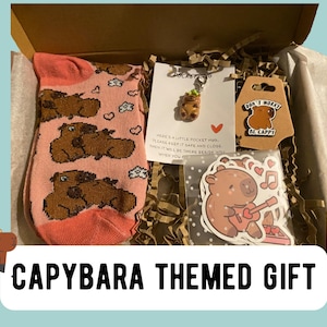 May include: A capybara-themed gift box containing a pair of pink socks with brown capybara illustrations, a capybara keychain, a sticker, and a tag that says "Don't Worry Be Cappy". The box has the text "CAPYBARA THEMED GIFT".