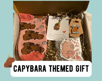 Capybara Letterbox Gift Kit – Socks, Brooch, Pocket Hug Keychain & Stickers | Capybara Gift Box for Animal Lovers