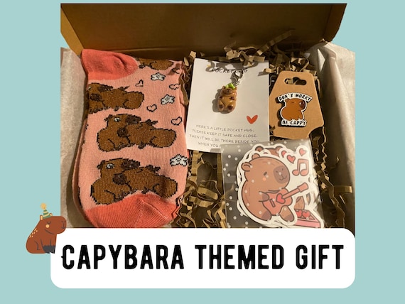 Capybara Letterbox Gift Kit – Socks, Brooch, Pocket Hug Keychain & Stickers | Capybara Gift Box for Animal Lovers