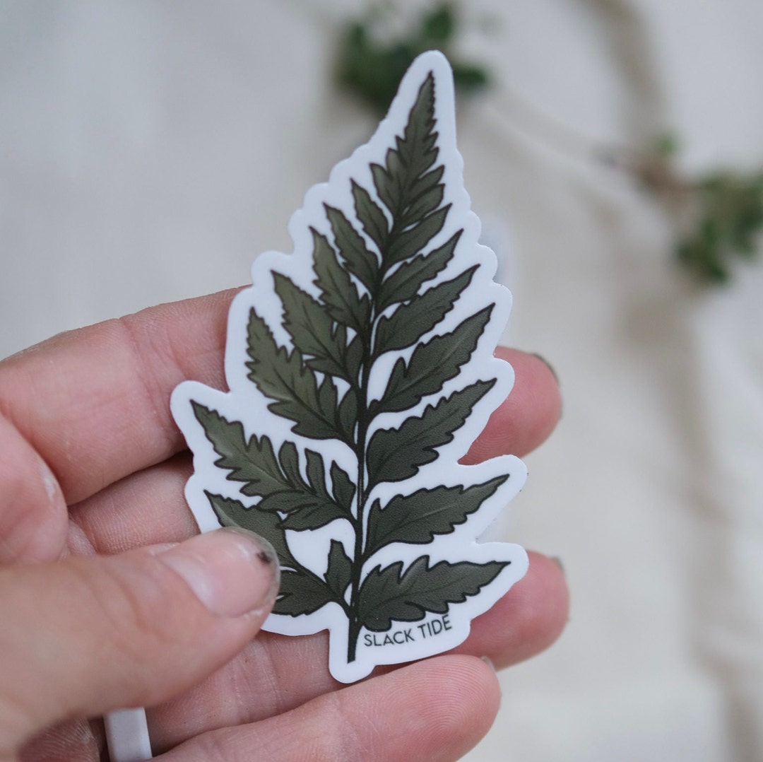Fern Sticker, Hand Drawn, UV Protective - Etsy