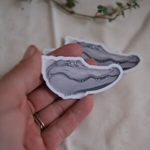 Alligator sticker, Florida gator sticker