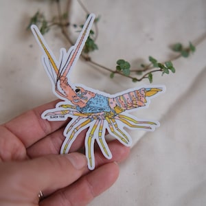 Florida Lobster Sticker Pink