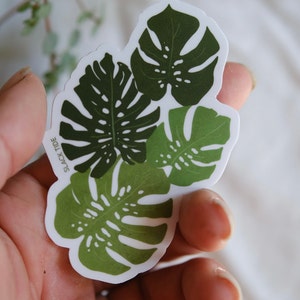 Monstera, Plant Sticker, Monstera sticker