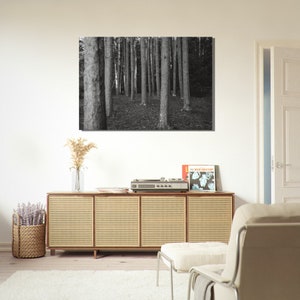 Black and White Forest View, Black and White Woods print, Large Canvas Wall Art, Living Room Wall Art.