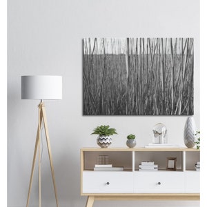 BLACK and WHITE REEDS Canvas Wall Art, Large Living Room Wall Art, Fine Art Photography Wall Art.
