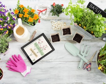 May include: A gardening scene with various elements: potted flowers, herbs, gardening tools, and a tablet displaying a garden planner. The tablet reads "little wild things" and "garden planner". Pink gloves and a watering can are also present.