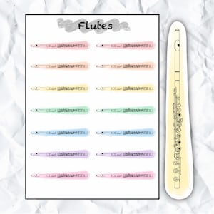 Rainbow Flute Sticker Sheet, Muziek Sticker, Muzikant Gift, Cadeau voor Muziekleraar, Houtblazers Instrument, Orkest, Band Geek, Planner, Sticker