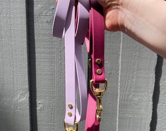 Waterproof Biothane Dog Lead: Solid Brass Hardware, Easy Clean