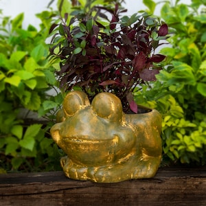 Flower pot made of clay frog, planting pot frog shape, garden decoration