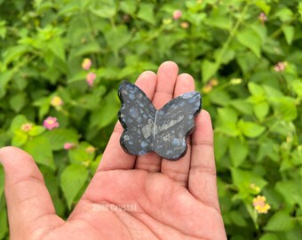 Rare Que Sera Jasper Butterfly 3D Healing Crystal Carvings