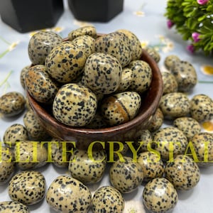Bulk 1 Kg AAA DALMATIAN JASPER Tumbled Stone | Wholesale Best Dalmation Jasper Tumbles | Pocket stone crystal healing pebble gemstone
