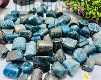 Bulk 5 Pcs Blue Apatite Tumbled Stone | Throat Chakra Healing Crystal