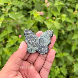May include: A butterfly-shaped stone carving with a green and black pattern. The stone is held in a hand against a backdrop of green foliage. The carving has a detailed, naturalistic design.