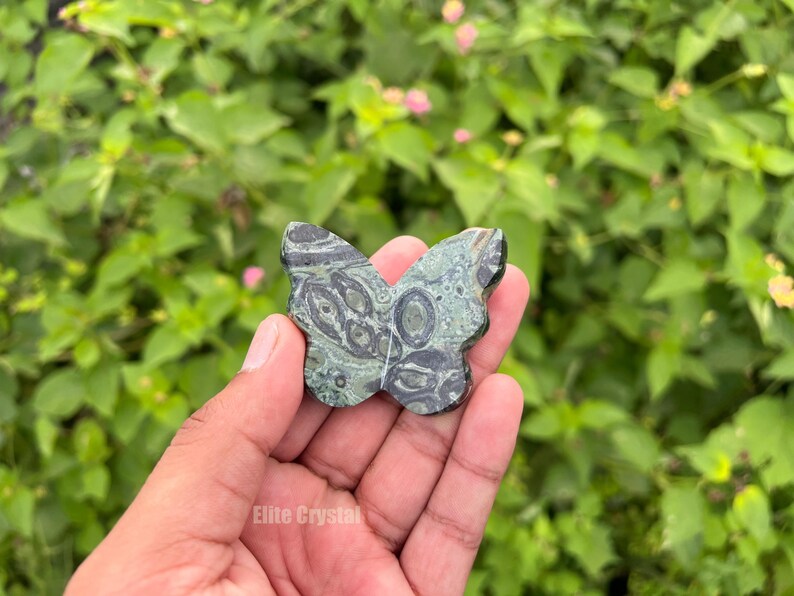May include: A butterfly-shaped stone carving with a green and black pattern. The stone is held in a hand against a backdrop of green foliage. The carving has a detailed, naturalistic design.