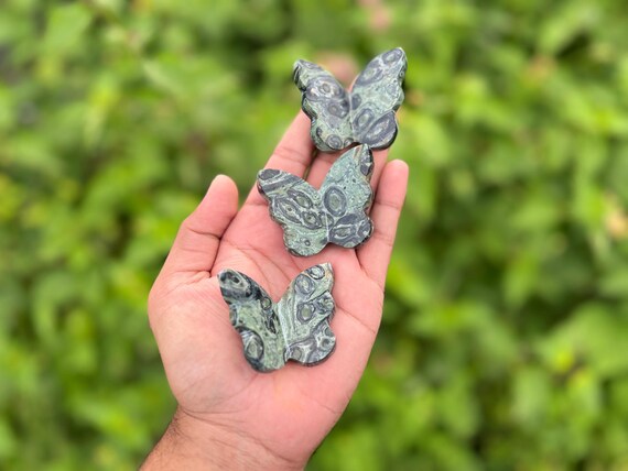 Hand Carved Kambaba Jasper Butterfly Set: 3D Crocodile Jasper Healing Crystals