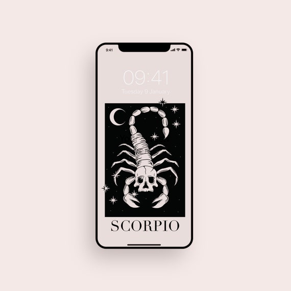100+] Scorpion Wallpapers | Wallpapers.com