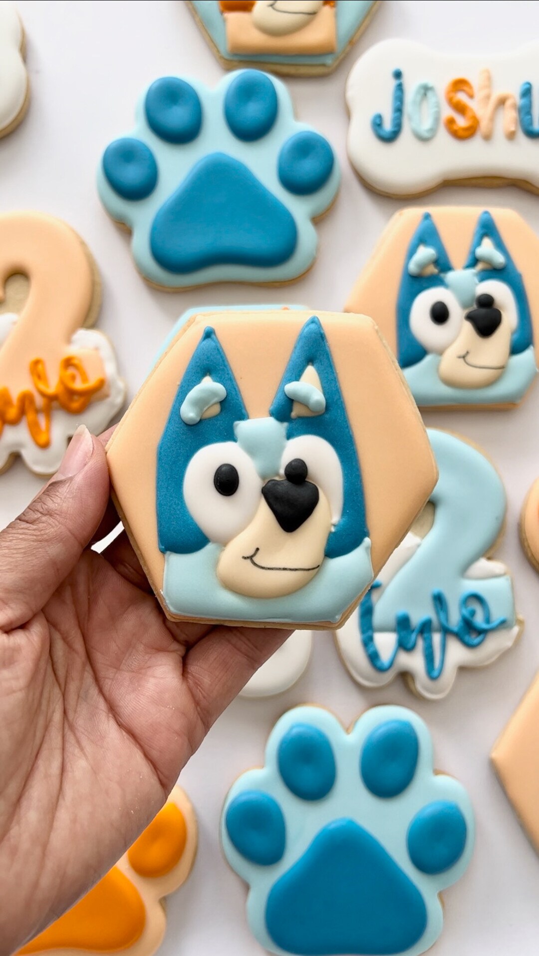 Bluey Sugar Cookies Custom Cookies Custom Bluey Sugar Etsy
