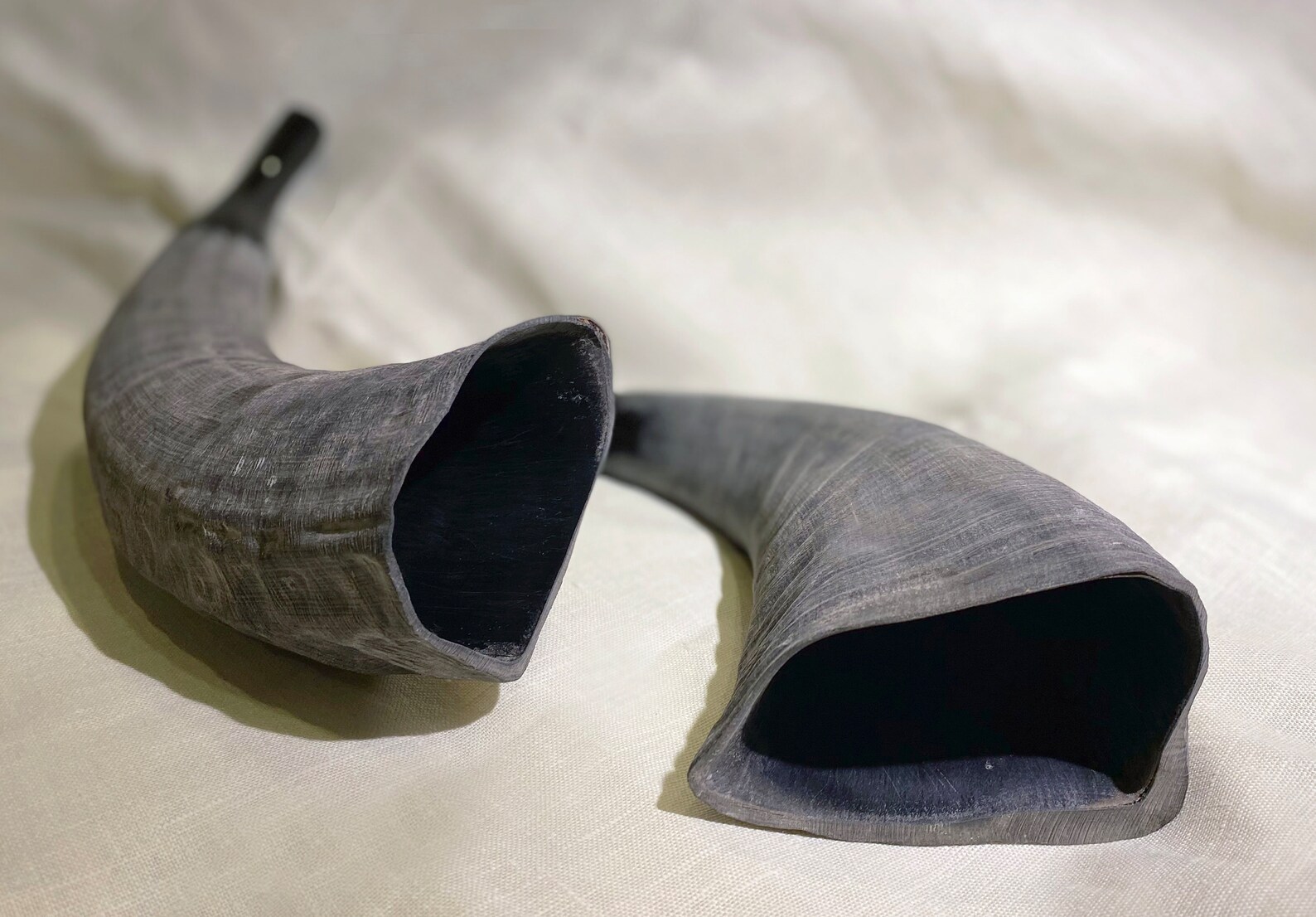 Wind Instrument From Vietnam - Goat Horn. Ideal for Musical ...