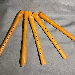 Wind instrument - Flute