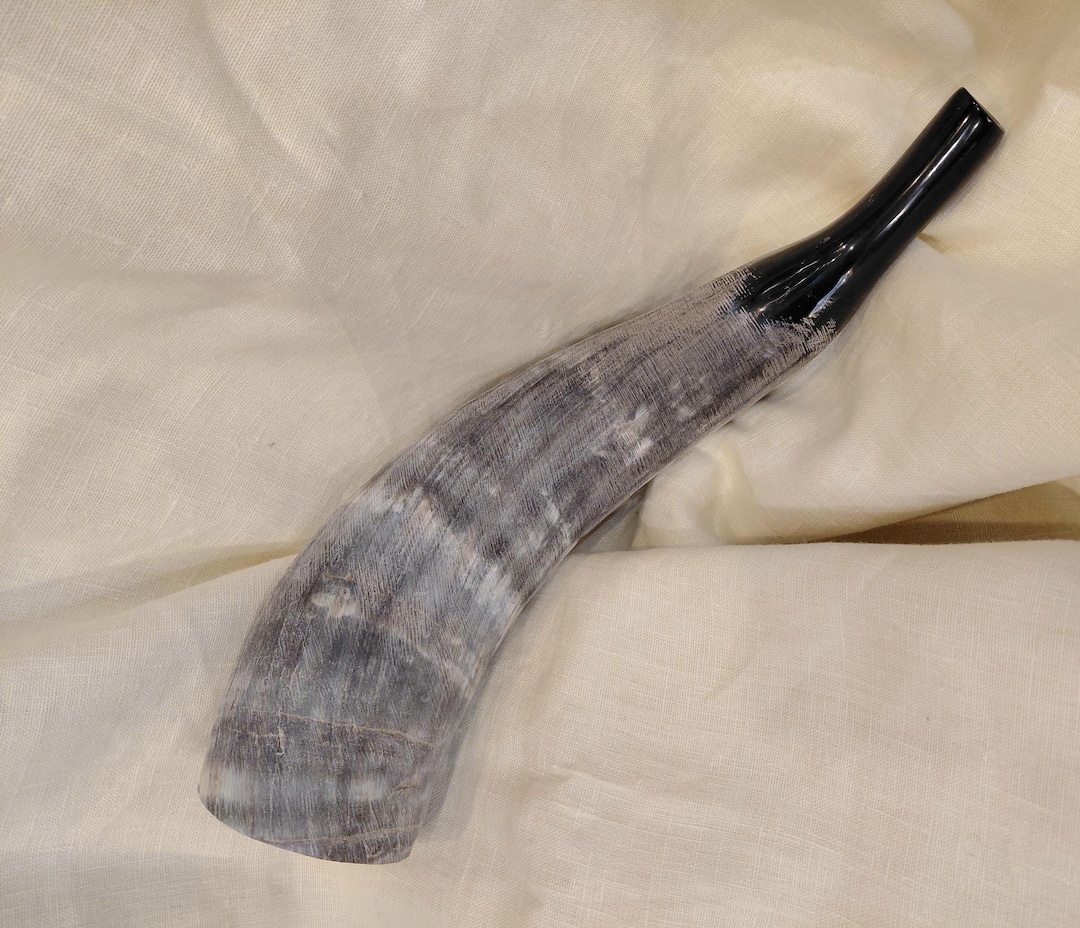 Very Unique Wind Instrument Unique Wind Instrument From Vietnam - Signal Horn - Etsy