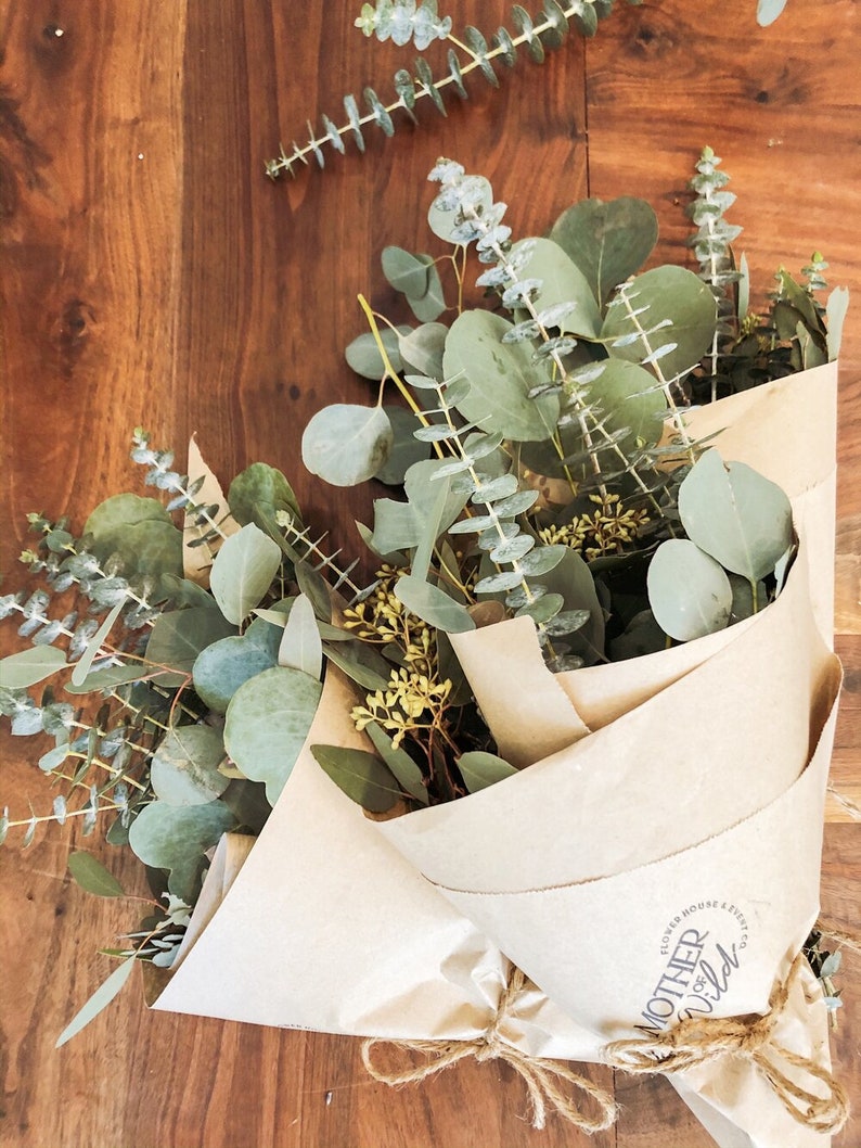 Eucalyptus Shower Bundle for Shower Essential Oils Etsy