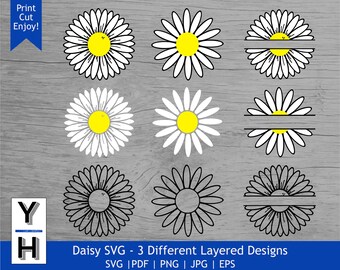 Download Daisy Svg Etsy