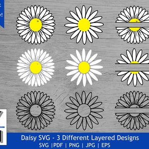 Daisy SVG Bundle | Daisy Split Name Frame SVG | Flower SVG | Daises svg | Daisy Flower png | Floral Clipart | Wildflower Monogram