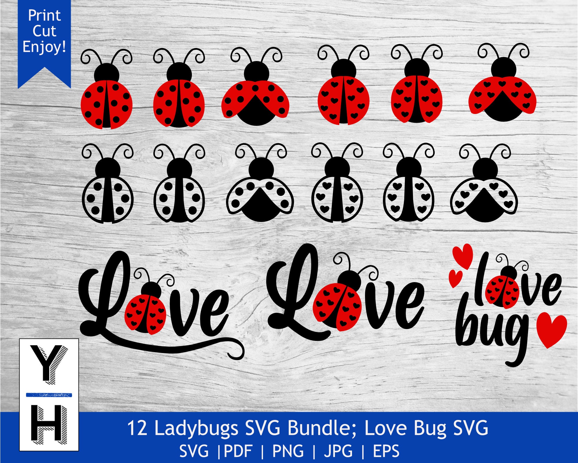 Ladybug SVG Bundle | Love Bug SVG | Ladybug PNG | Ladybug Clipart ...