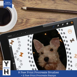 Pode incluir: Uma ilustração digital de um cão branco com olhos castanhos, rodeado por desenhos de pegadas. O texto "9 Paw Print Procreate Brushes + 2 Paw Print Procreate Stamps" é exibido na parte inferior da imagem.