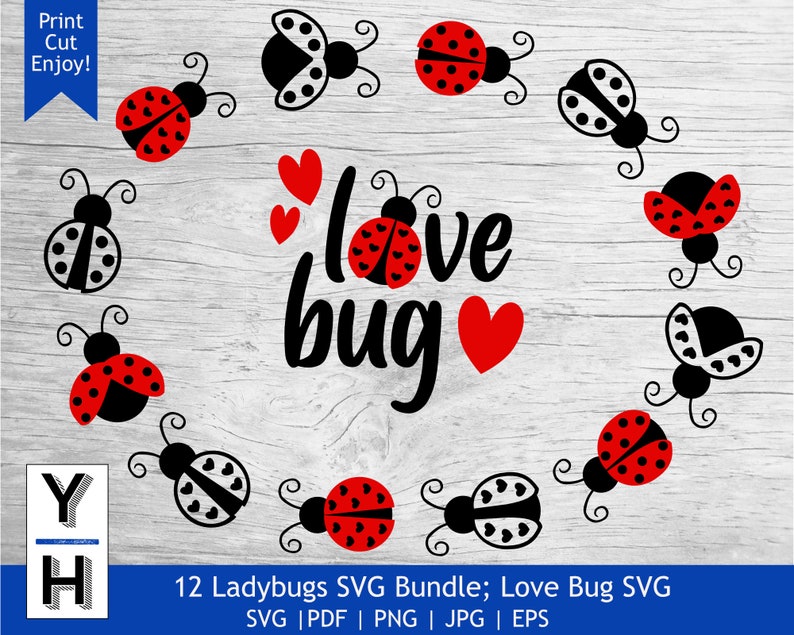 Free Free 175 Love Bug Ladybug Svg SVG PNG EPS DXF File