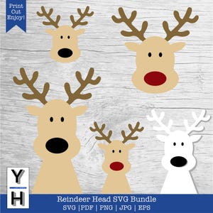 Rendierkop SVG-bundel | Rendiergezicht SVG | Rudolf png | Kerstrendier, png | Clipart rendieren rode neus