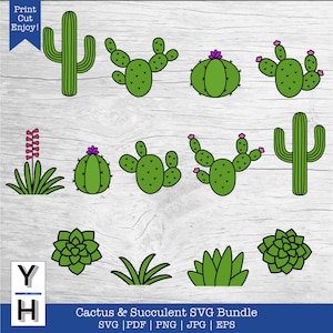 Cactus SVG | Lot succulente SVG | Figuier de Barbarie PNG | Cactus Saguaro Clipart | Cactus avec fleur Cricut Glowforge