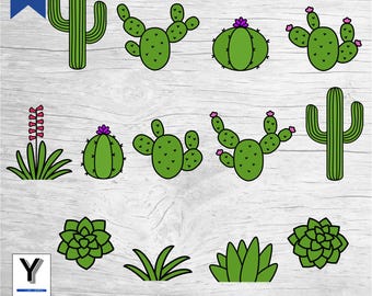 Cacto SVG | Pacote SVG suculento | Cacto de pera espinhosa PNG | Clipart de cacto Saguaro | Cacto com Flor Cricut Glowforge