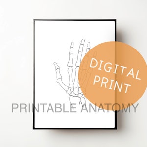The Hand, Human Anatomy Print, Abstract Line Art, Minimalist, Physiotherapy, Chiropractic, Sports Therapy Prints, Rehab, DIGITAL DOWNLOAD!!!