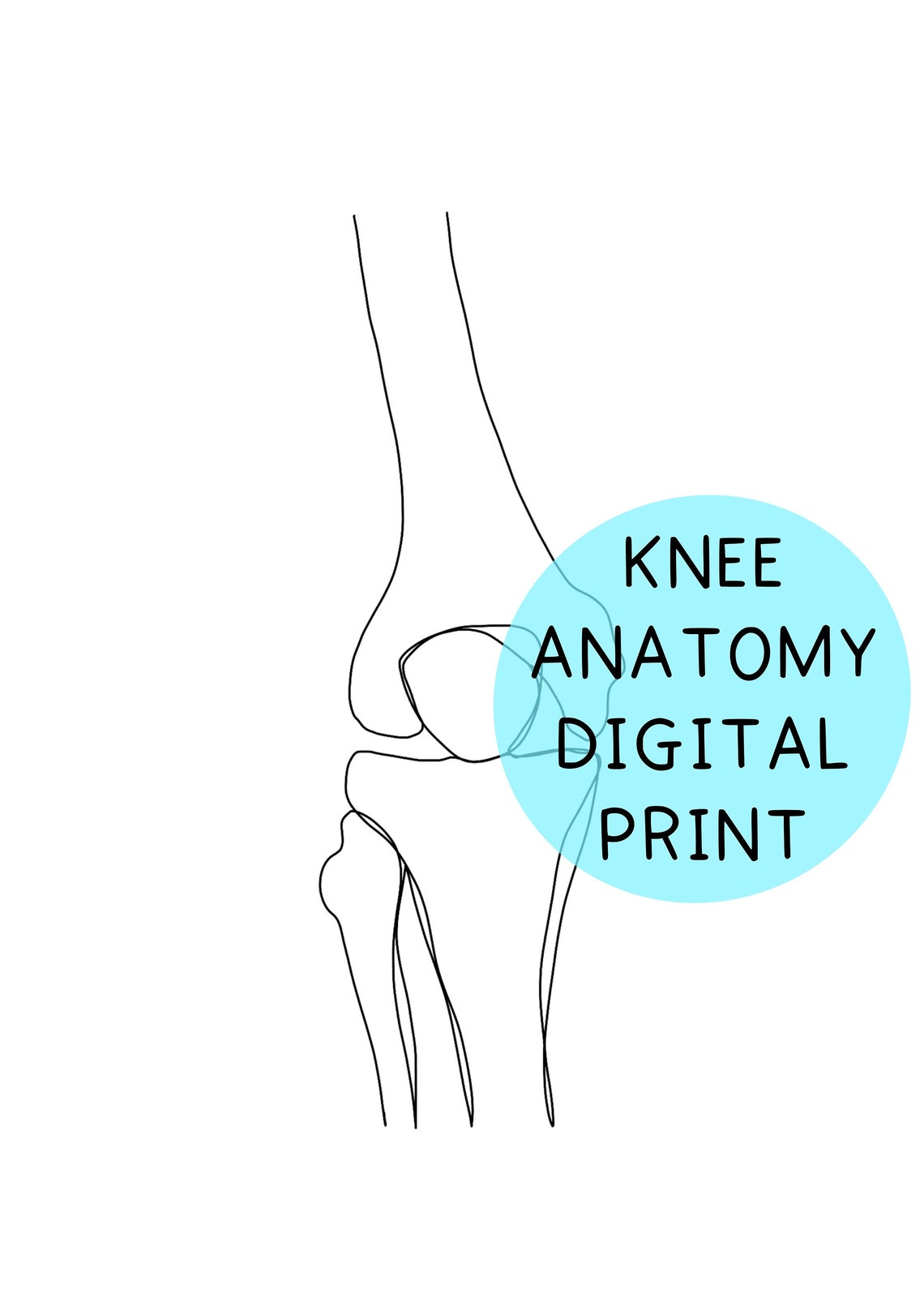 Knee, Human Anatomy Print, Abstract Line Art, Minimalist, Physiotherapy ...