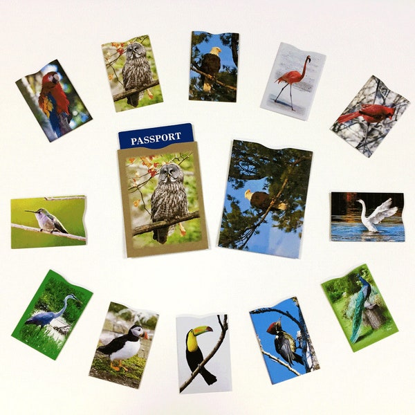 Feathered Friends (Set C), 12 Credit Card Sleeves and 2 Passport Jackets, Created from FIPS 201 Approved RFID Blocking Laminate