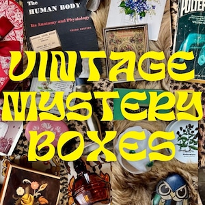 Vintage Mystery Box, Antique Curated Blind Box, Cottagecore, Dark Academia, Goth, Retro Nostalgia Gift Baskets, Birthday Gift for Her, Him