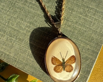 Real Butterfly Specimen Pendant Necklace, 24" Chain