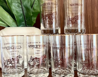 Vintage Saratoga Race Track Horse Glasses, Vintage Equestrian Home Decor, Saratoga Springs